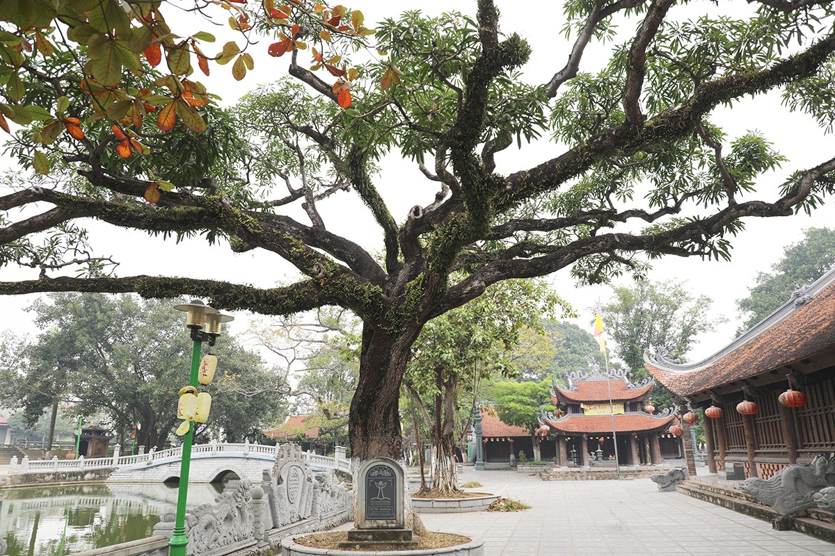 ĐÌNH ĐỒNG KỴ - NƠI DI SẢN CẤT TIẾNG VANG